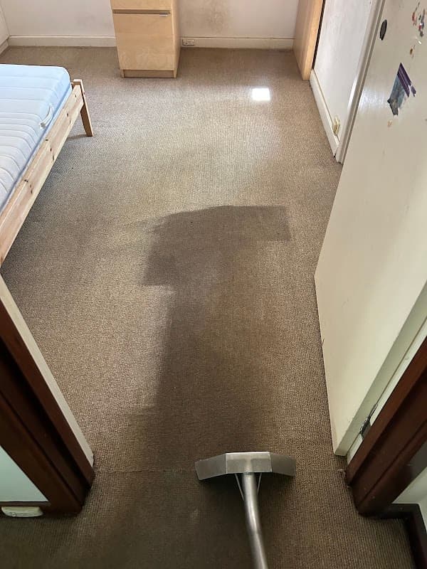 Best Choice Carpet Cleaning Services cover