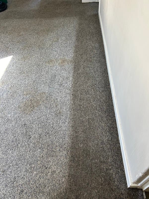 Best Choice Carpet Cleaning Services project 3