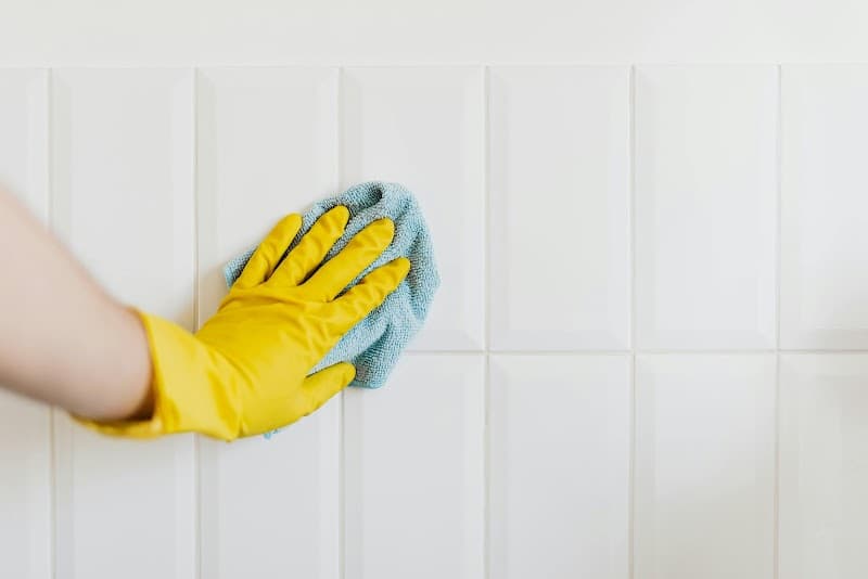 Best Home Cleaners project 3