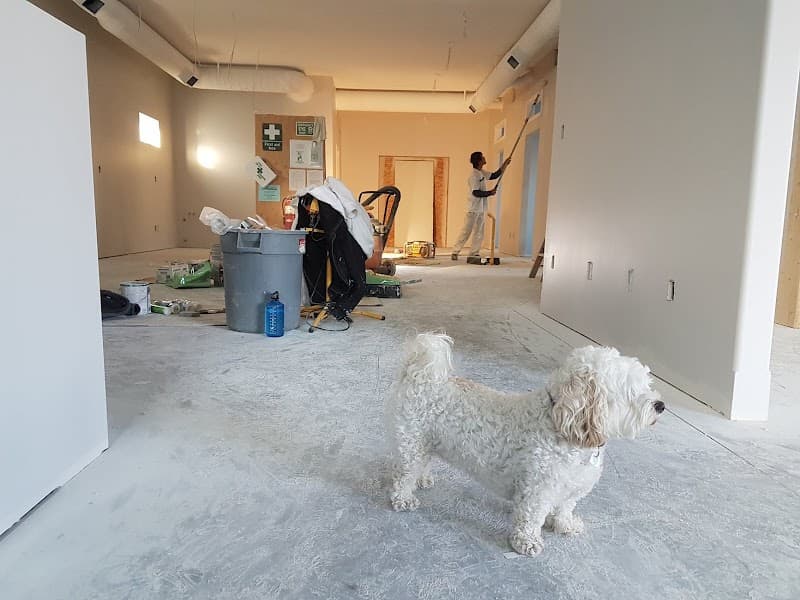 Best Mobile Cleaning Services cover