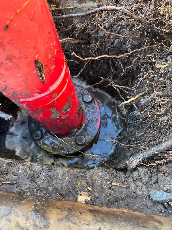 Better Plumbing Co project 6