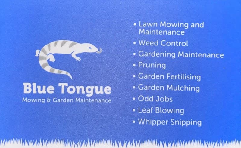 Blue Tongue Mowing & Garden Maintenance project 2