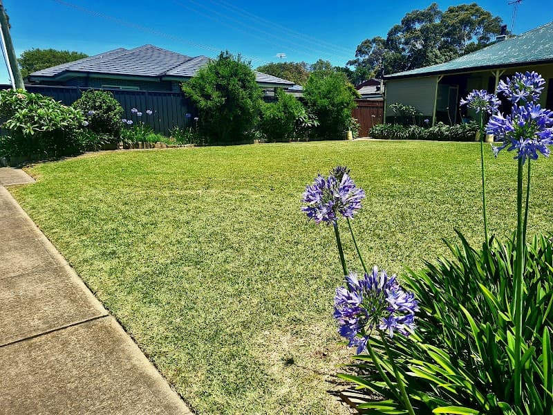 Blue Tongue Mowing & Garden Maintenance project 4