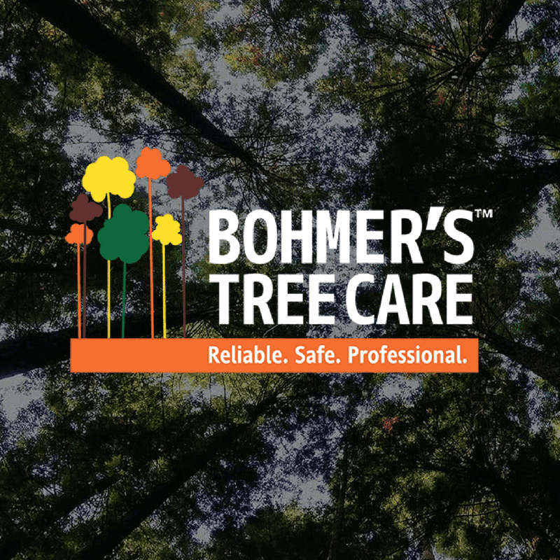 Bohmer's Tree Care cover