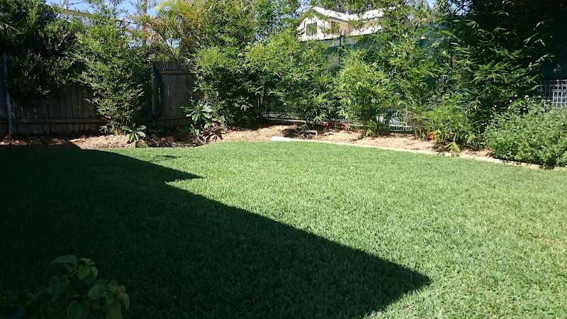Bondi Gardener & Handyman cover