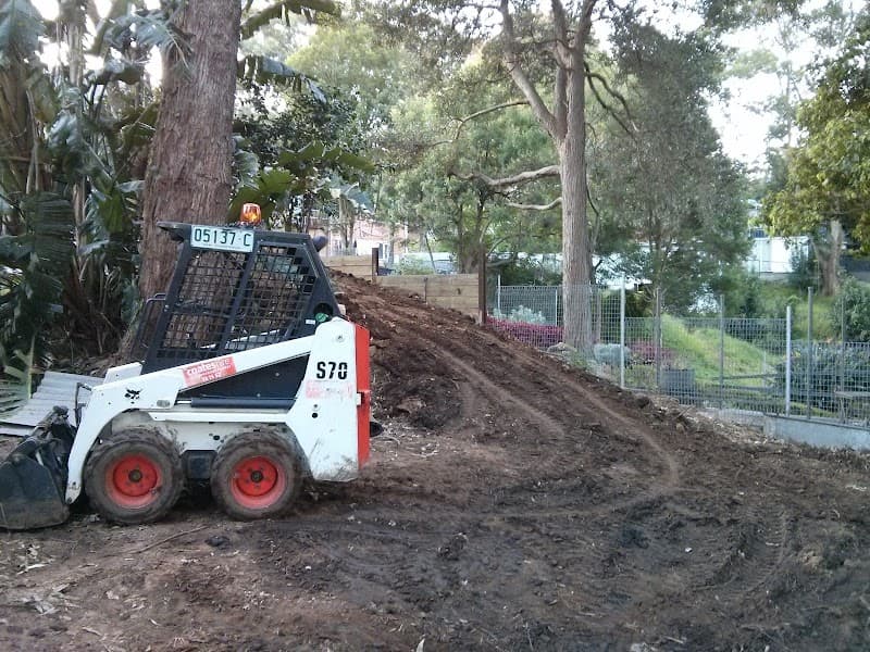 Bondi Gardener & Handyman project 4