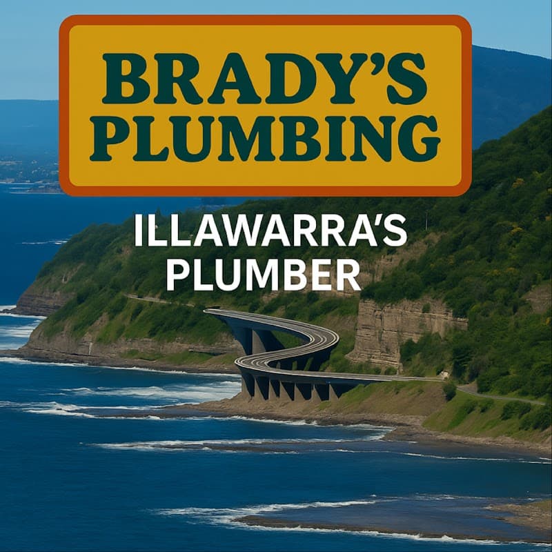 Brady's Plumbing project 1
