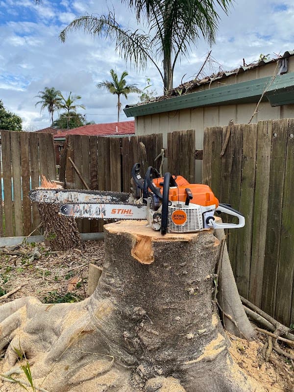 Brisbane Tree Experts | Tree Arborists & Tree Care Specialists cover