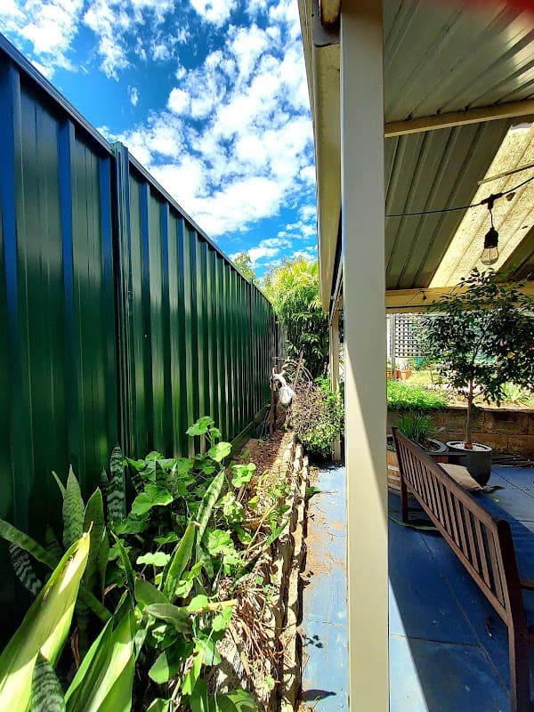 BV Fencing Solutions cover