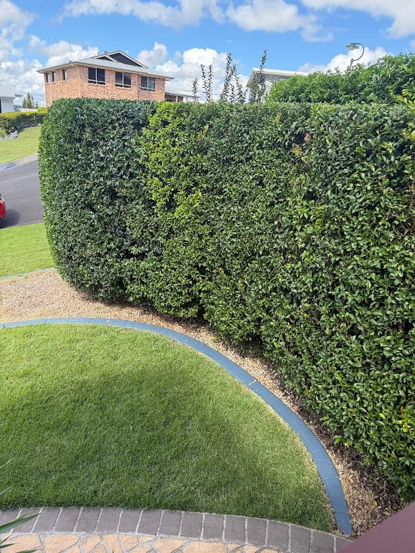 Cappelli Green Services project 4