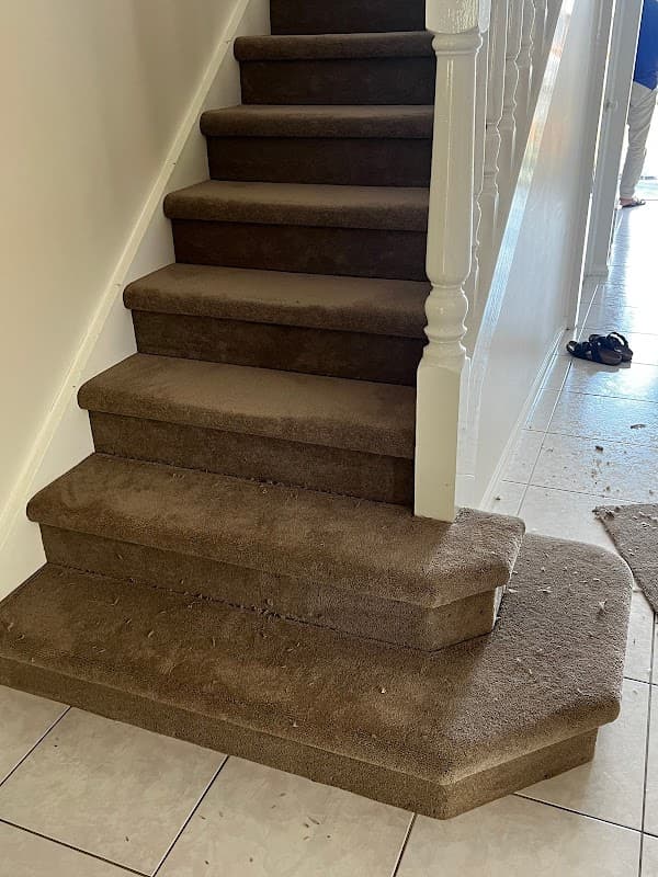 Carpet Capital project 2
