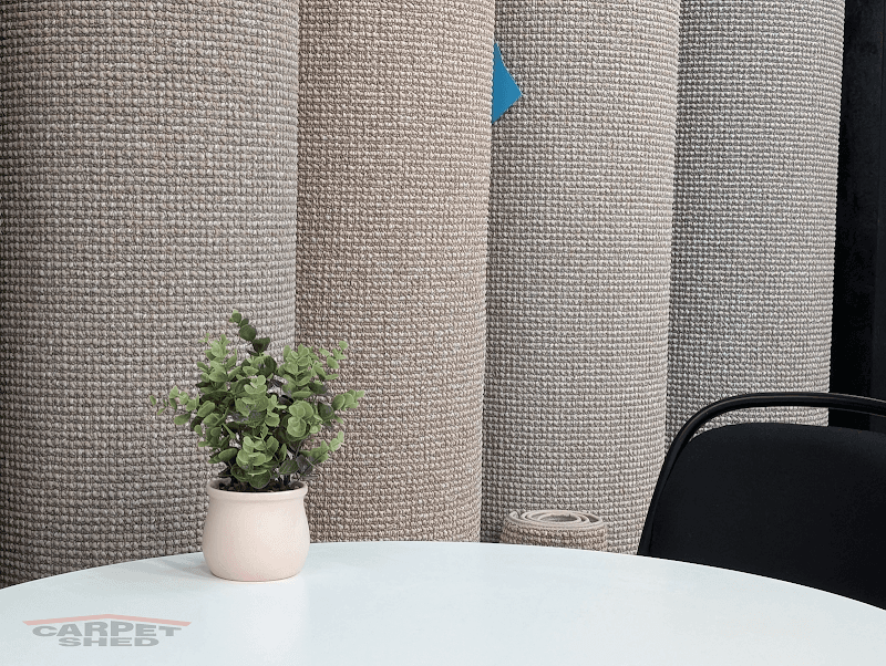 Carpet Shed Factory Outlet project 2
