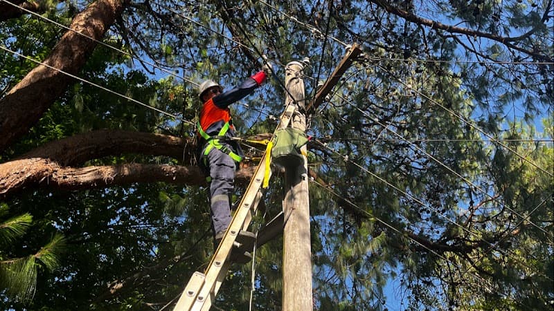 Checked Electrical project 1