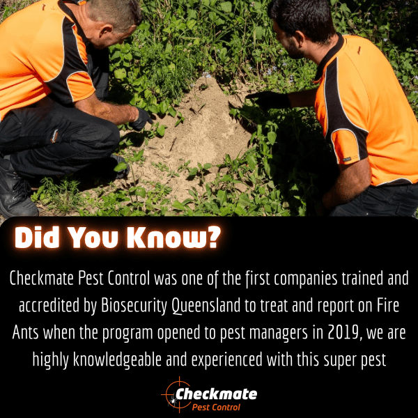 Checkmate Pest Control cover