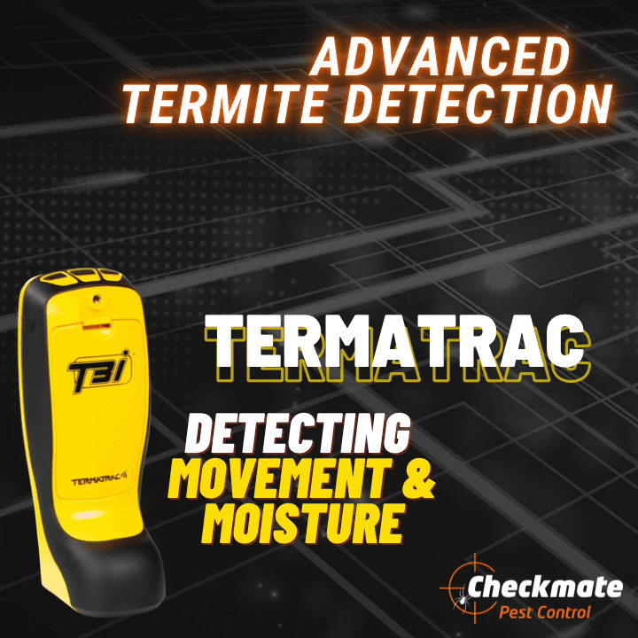 Checkmate Pest Control project 4