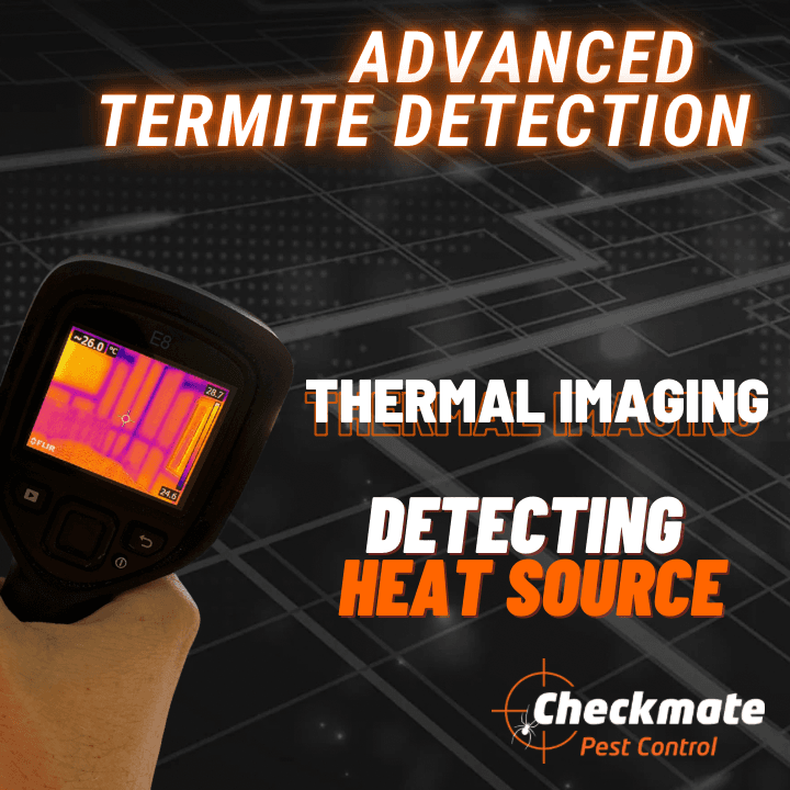 Checkmate Pest Control project 6