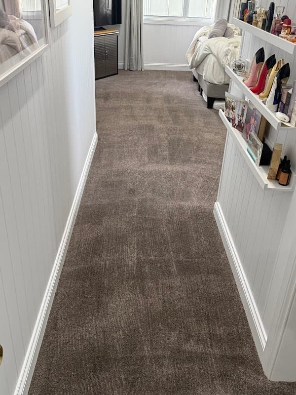 Chem-Dry Pro Clean cover