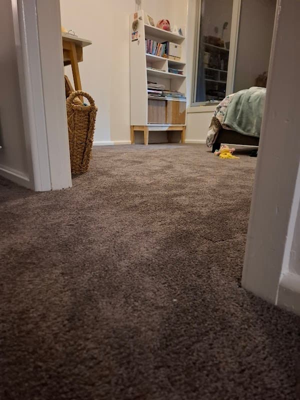 Choices Flooring Moonah (by Advance) project 3