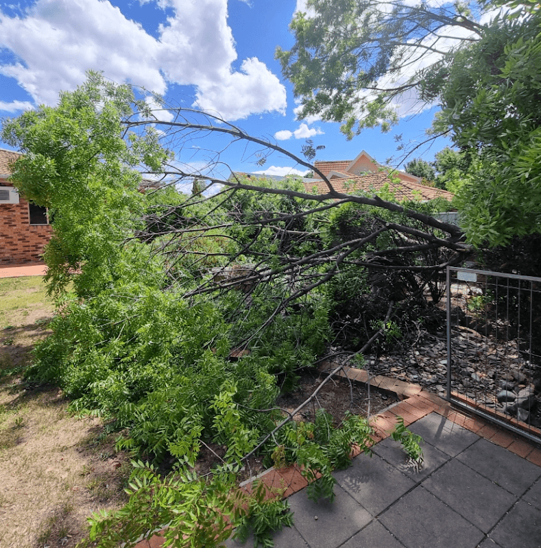 Chop It Tree Services cover