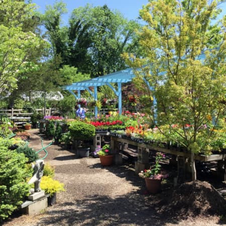 Church Street Garden Services project 3