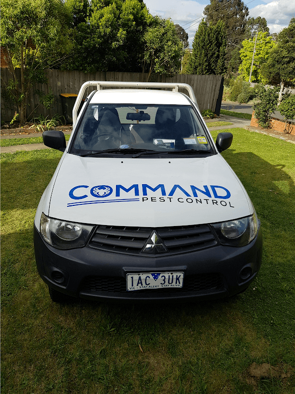Command Pest Control project 3