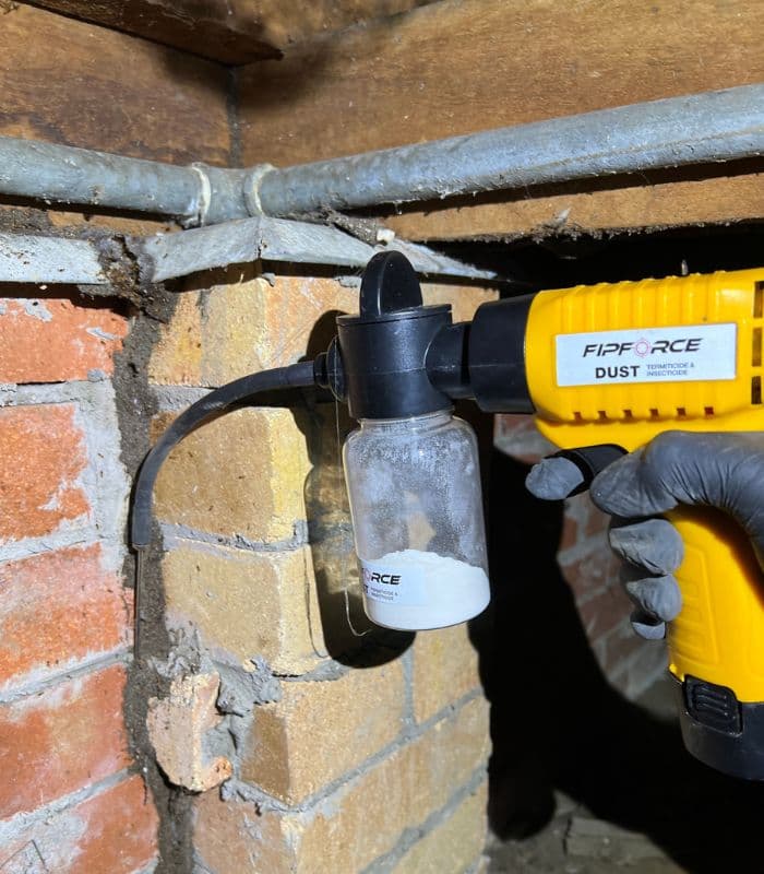 Conquer Termites Pest Control Brisbane South project 4