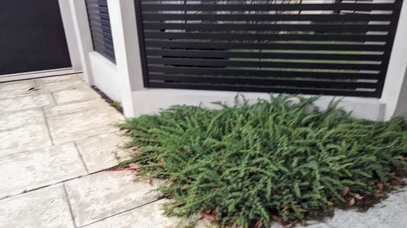 Coomera Fencing Experts project 4