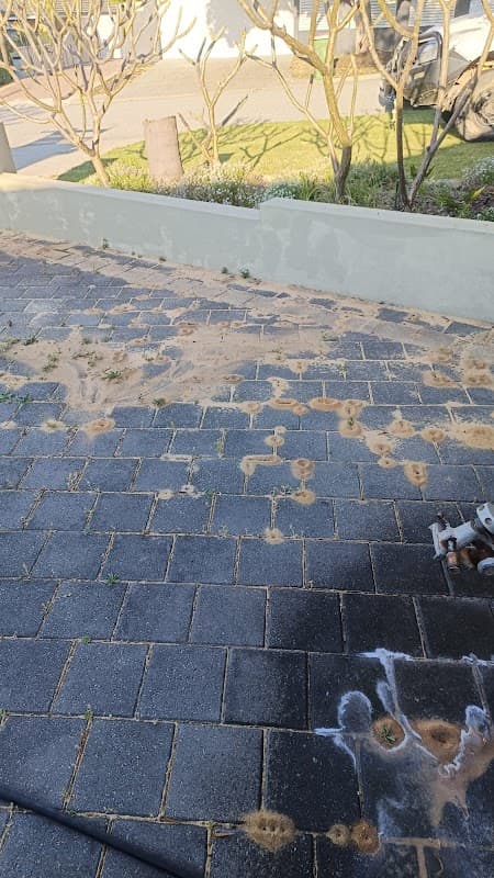 Core Pest Control cover
