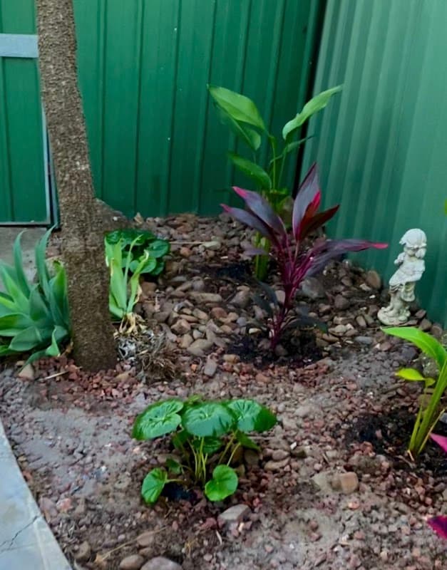 CreationScapes Landscaping project 5