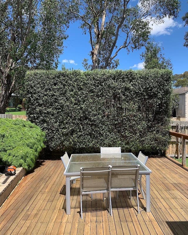 Cut Above Lawns & Hedges project 5