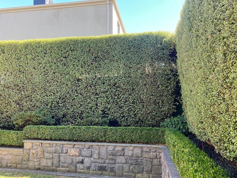 Cuttin Hedge Gardening Services cover