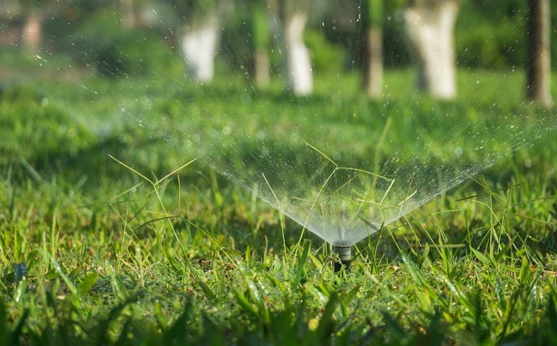 Darwin Irrigation Services cover