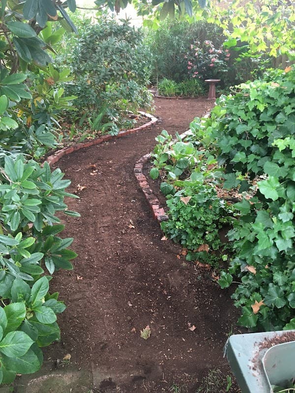 Daryl's Garden Design & Maintenance project 4