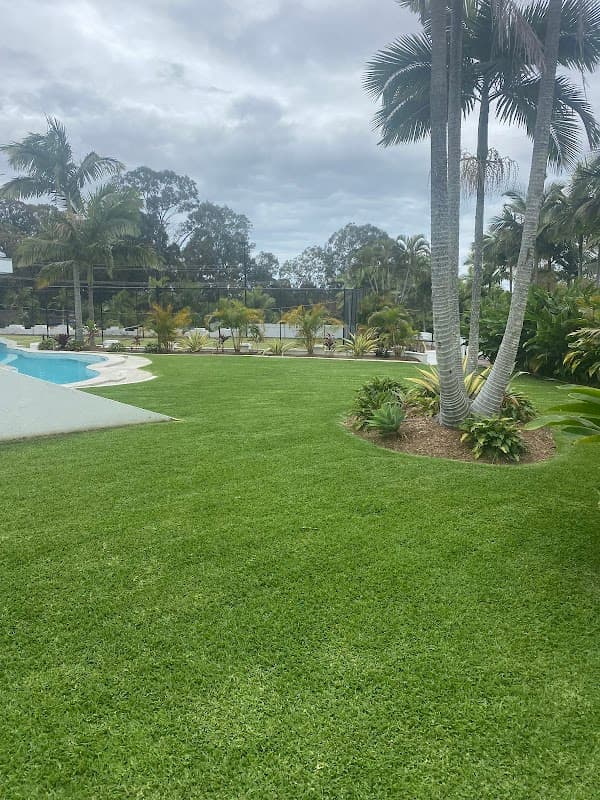 Dellys Lawns and Gardens project 1
