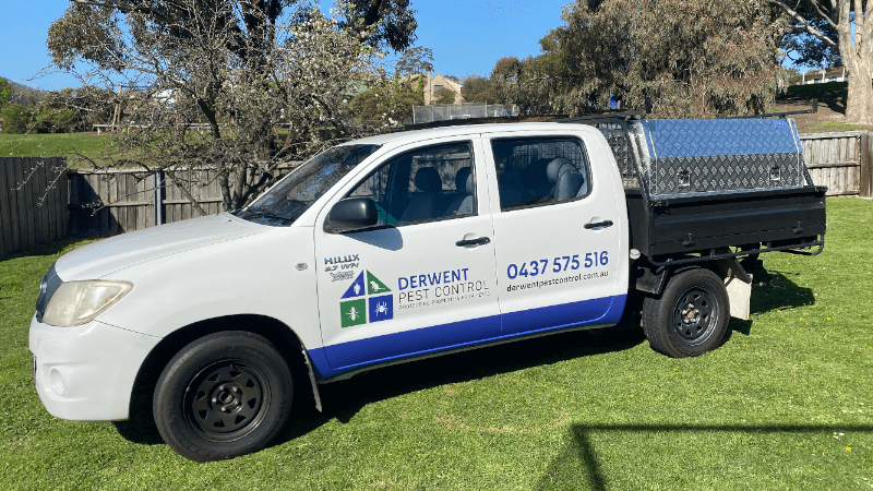 Derwent Pest Control project 3