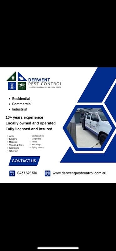Derwent Pest Control project 4