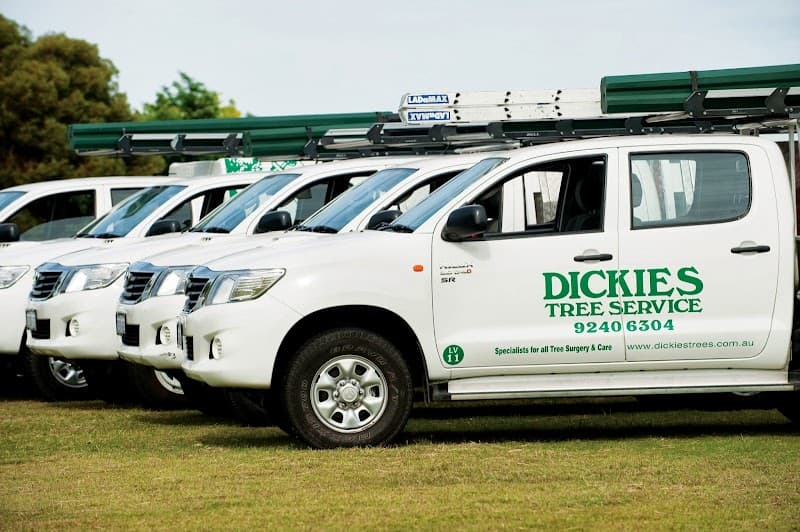 Dickies Tree Service project 1