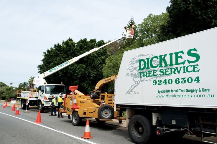Dickies Tree Service cover