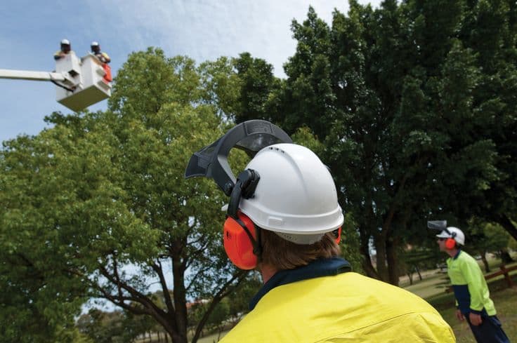 Dickies Tree Service project 4