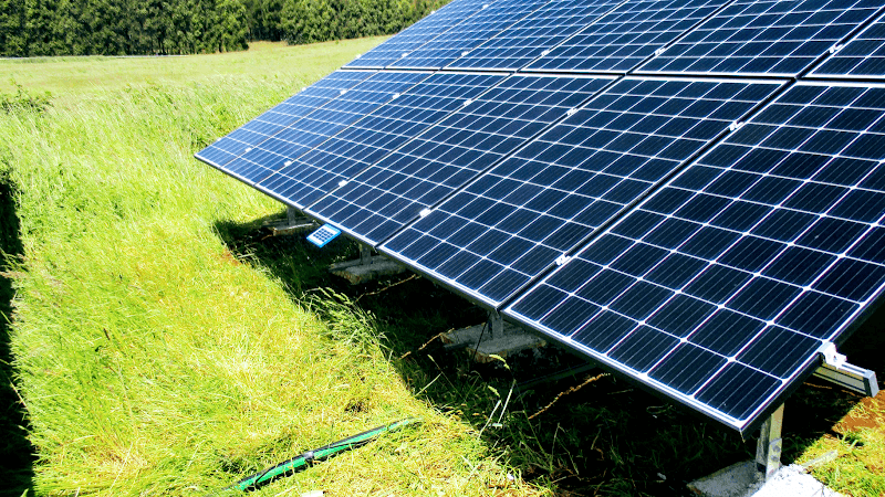 DMS Energy project 6