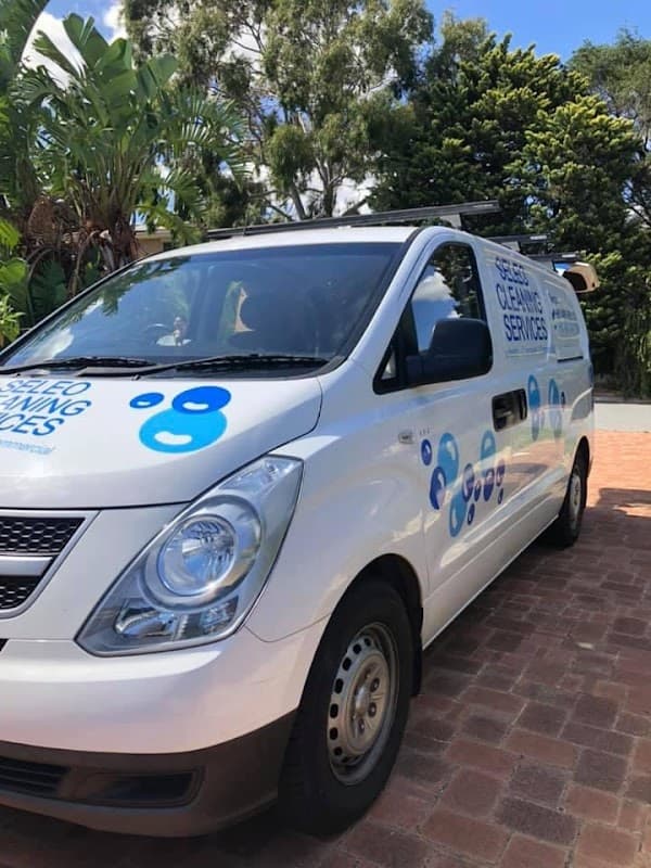 Dr Seleo Cleaning Services cover