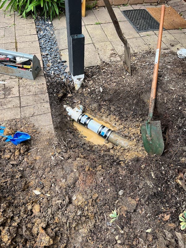 Drain My Pipe project 3