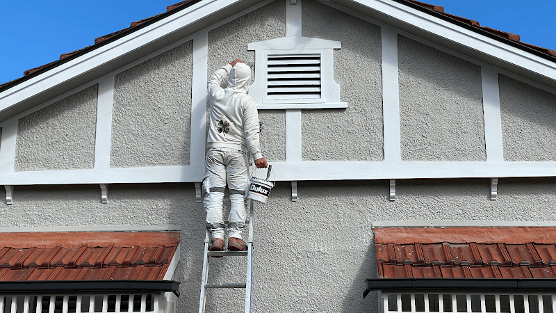 Dream Homes Painting project 1