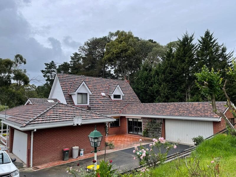 Dry Roof Solutions & Property Maintenance Pty Ltd cover