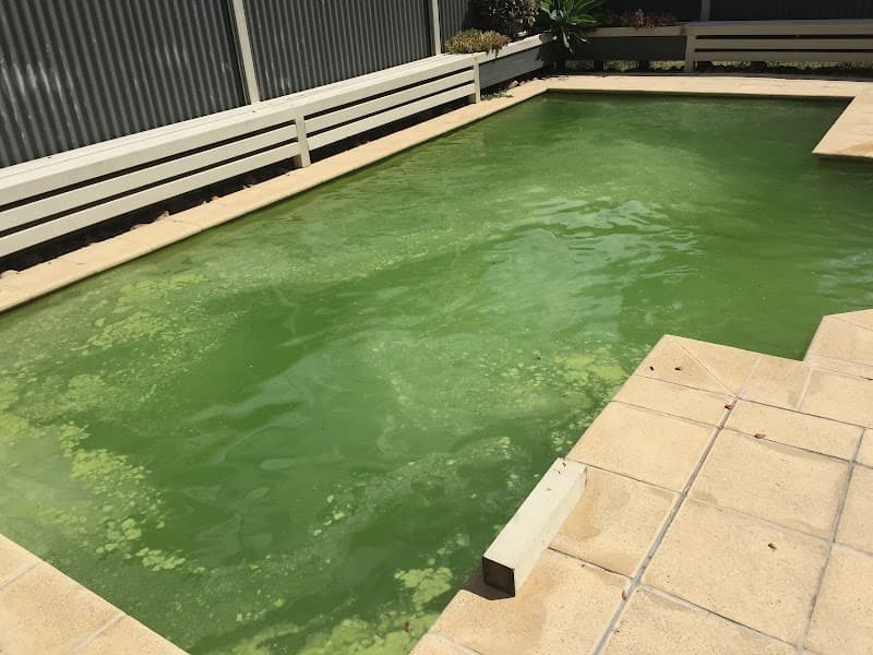 Dynamic Pool Services project 3