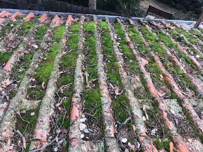 E.T. Roofing project 4