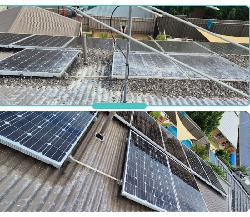 Eagle Eye Pest Control - Adelaide project 4