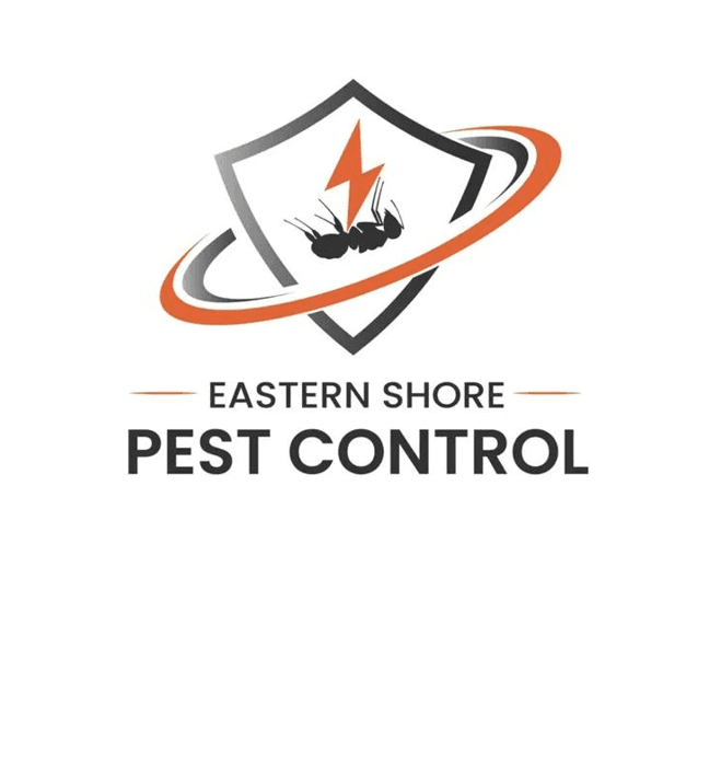 Eastern Shore Pest Control project 4