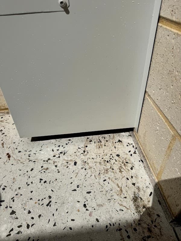 Eco Safe Pest Control Perth cover