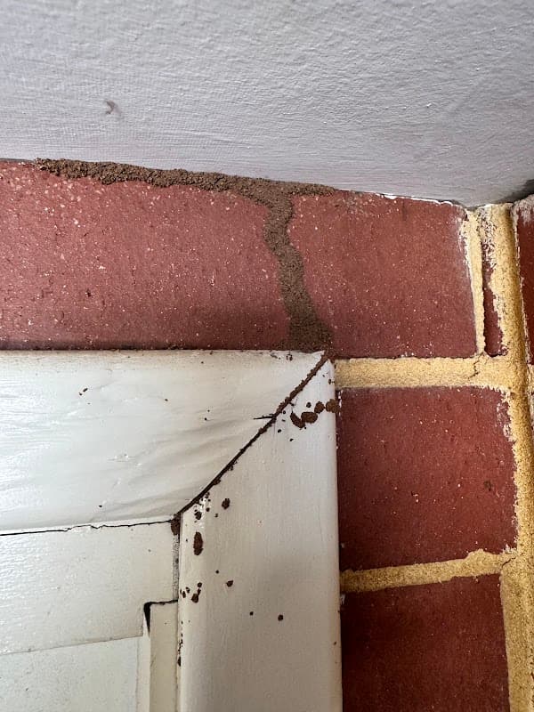 Eco Safe Pest Control Perth project 3